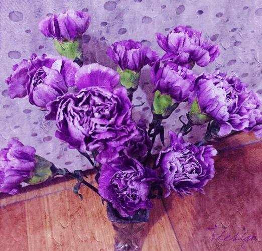 紫白色康乃馨（紫白色康乃馨的花语）-图3