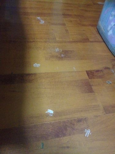 地板上白色水渍（地板出现白色水印怎么回事）-图1