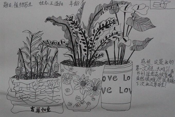 黑白色的植物（黑白色植物写生 带有人物）-图3