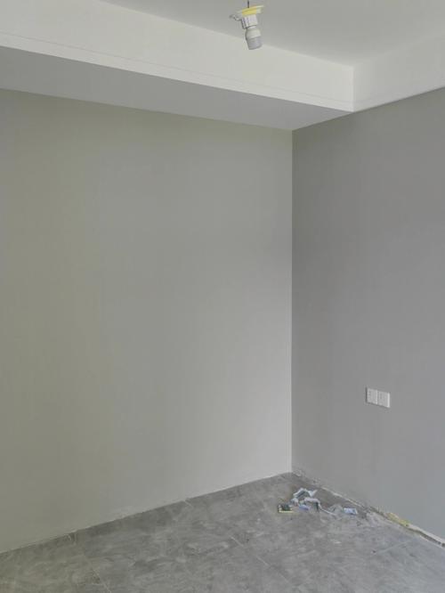 墙面灰色房顶白色（墙面灰色顶面可以用白色吗）-图2